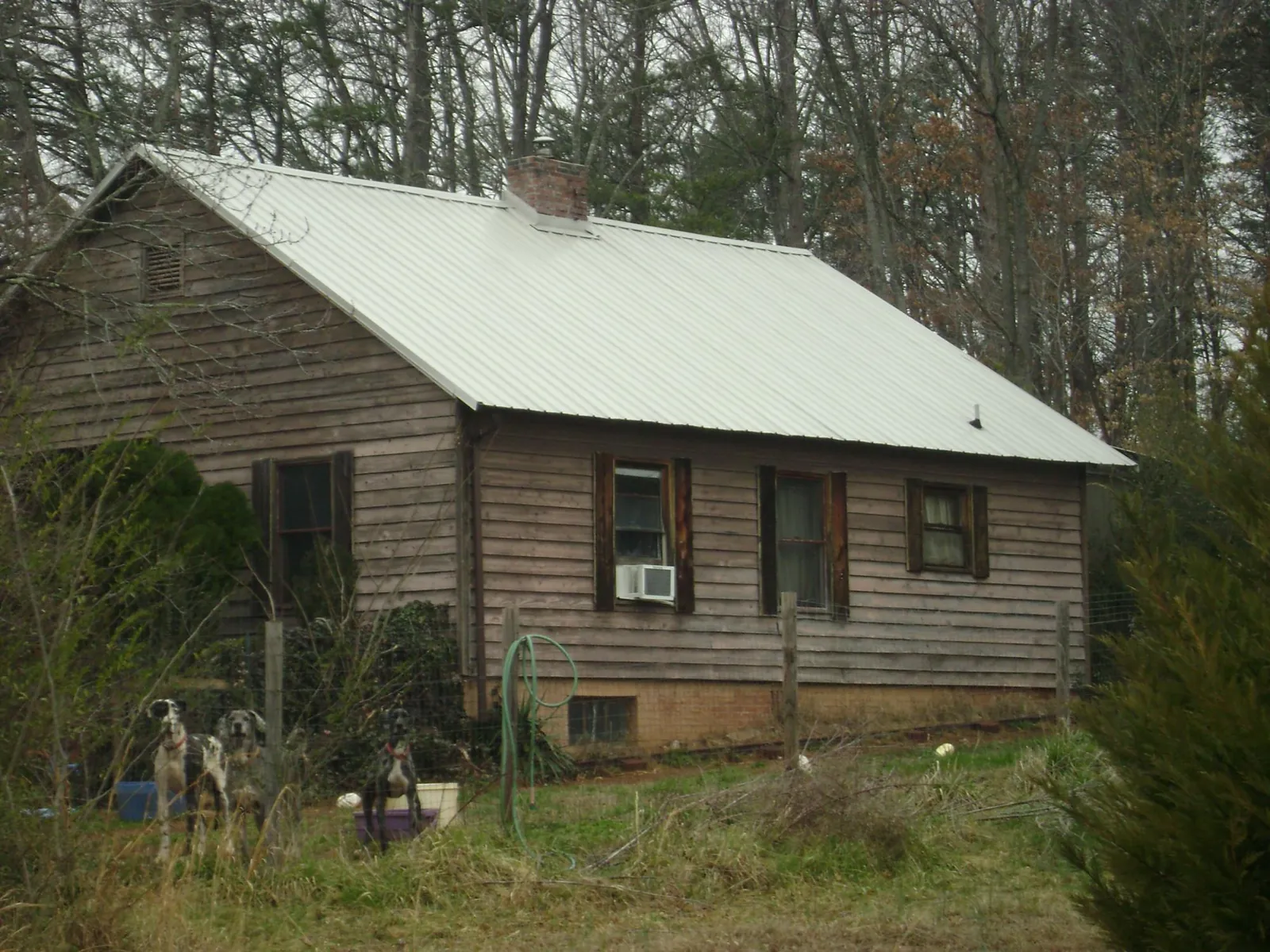 White metal roof on an old wood sided farmhouse, from a Asphalt Shingle Roof Repair job in Weaverville